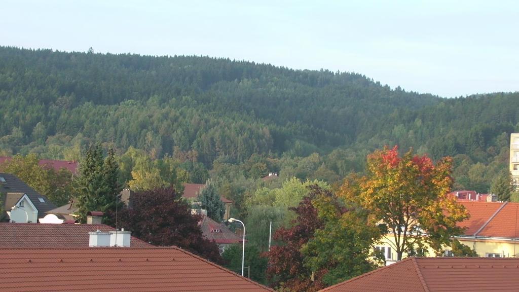Apartments Meixner Mariánské Lázně Eksteriør bilde